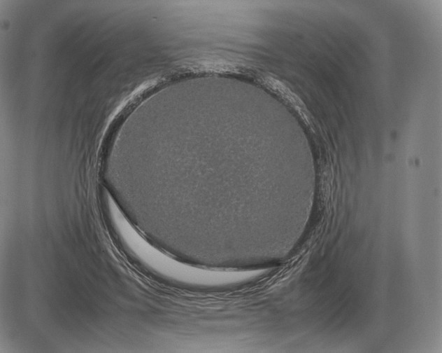 X0000085840395200703301650