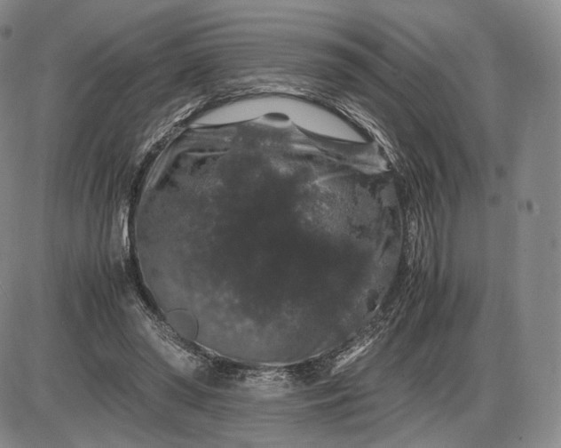 X0000085840398200703301650