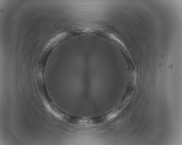 X0000085840415200703301650