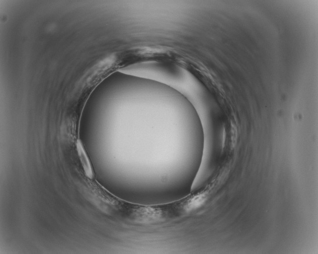 X0000085840421200703301650