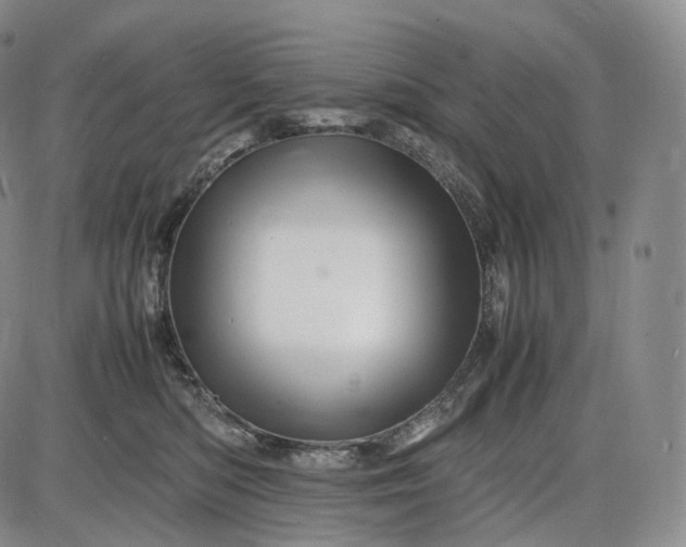 X0000085840422200703301650