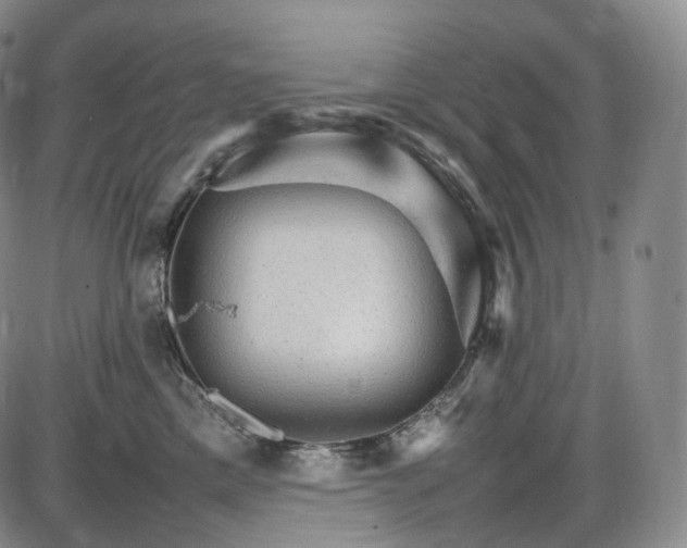 X0000085840425200703301649