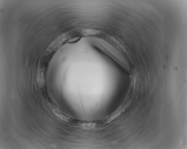 X0000085840426200703301649