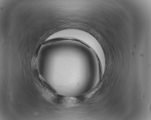 X0000085840429200703301649