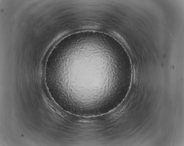 X0000085840435200703301649