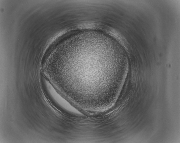 X0000085840439200703301649
