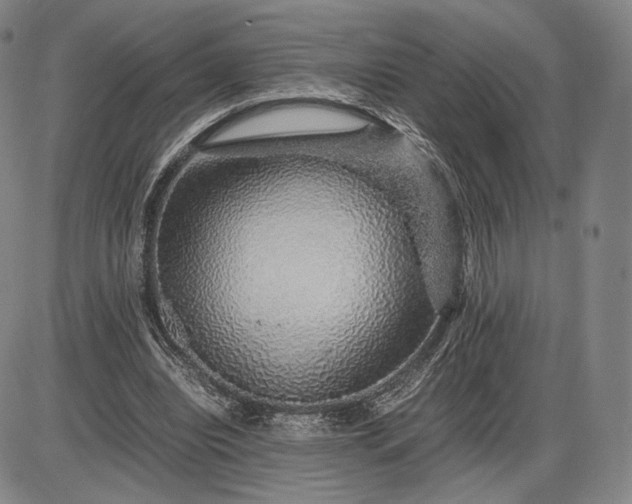 X0000085840440200703301649