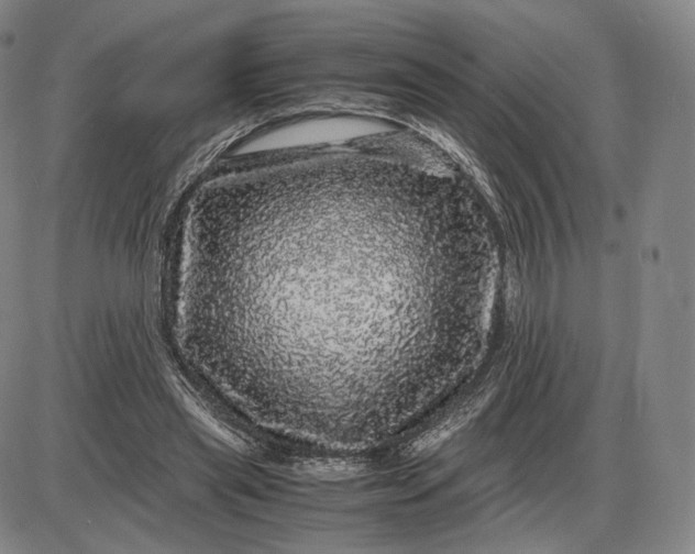 X0000085840445200703301649