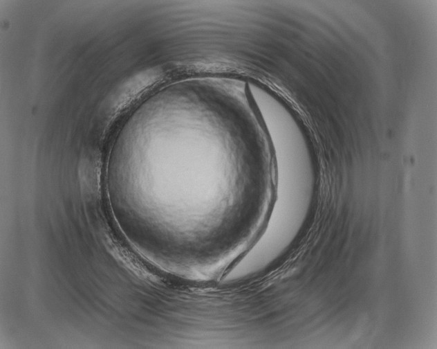 X0000085840446200703301649