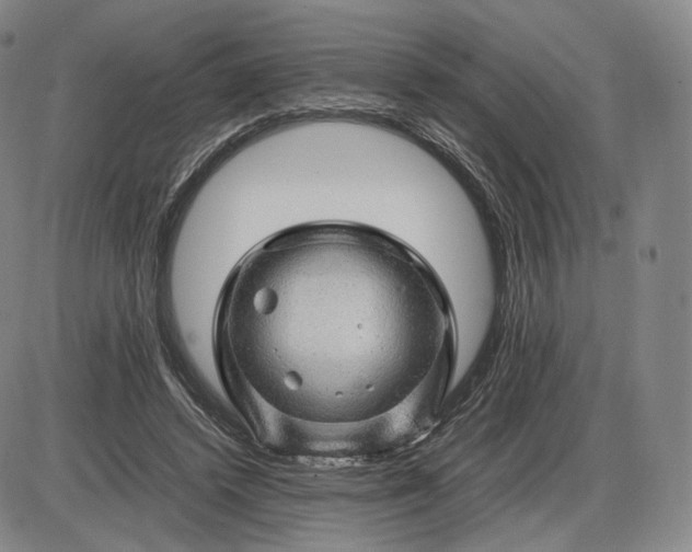 X0000085840448200703301649
