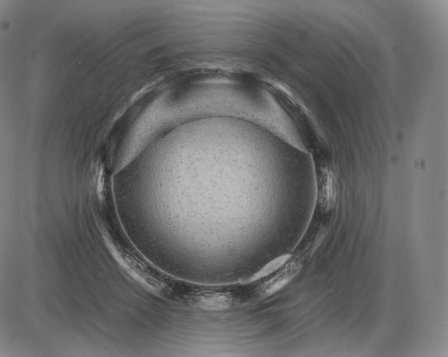 X0000085840456200703301649