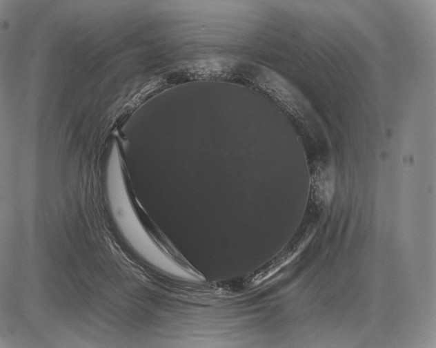 X0000085840458200703301649