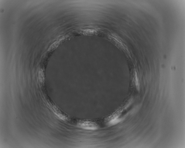 X0000085840467200703301649