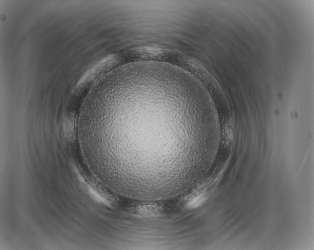 X0000085840468200703301649