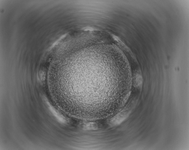 X0000085840472200703301649