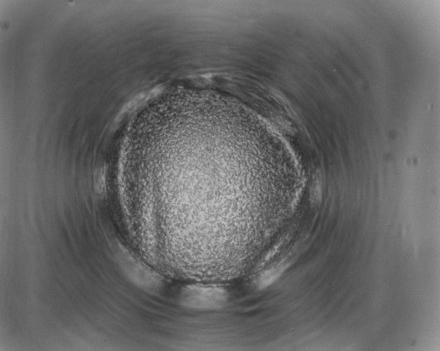 X0000085840477200703301649