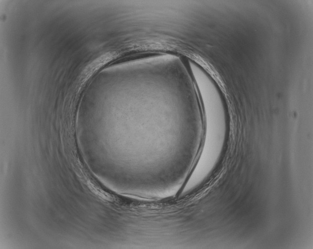 X0000085840481200703301649
