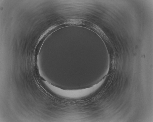 X0000085840484200703301649