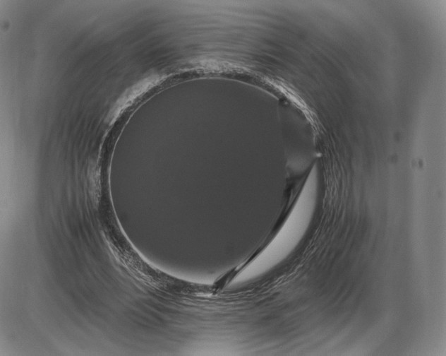 X0000085840488200703301648