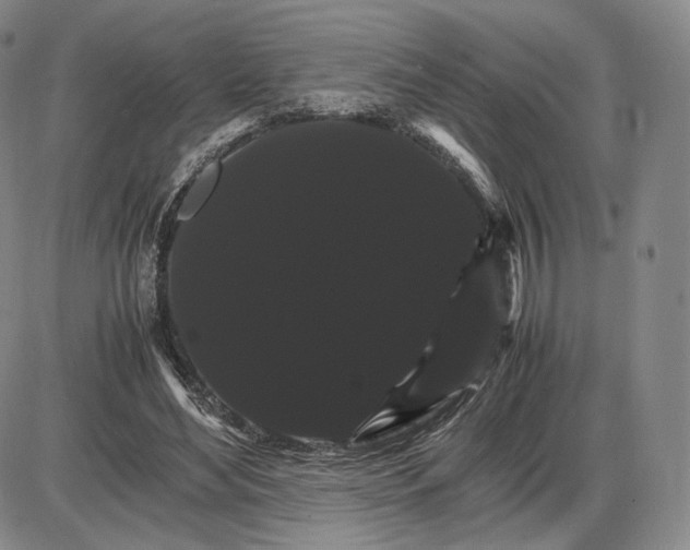 X0000085840492200703301648