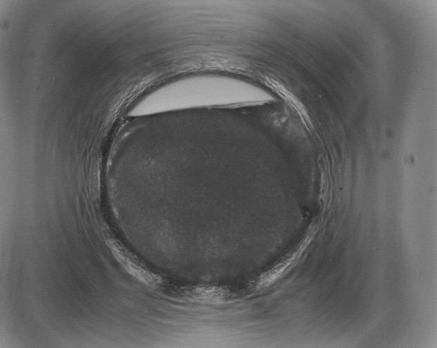 X0000085840493200703301648