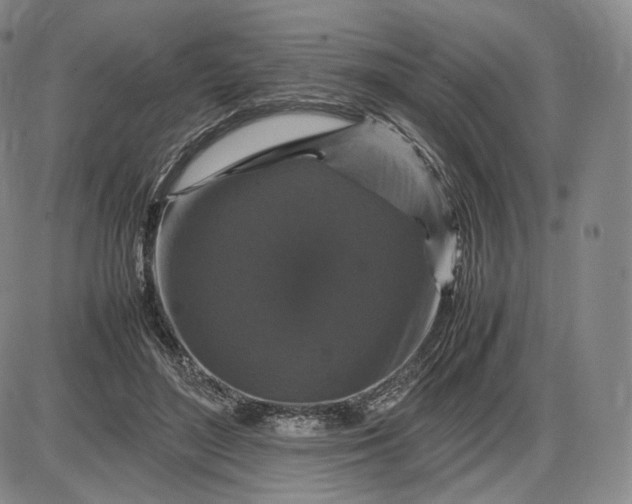 X0000085840500200703301648
