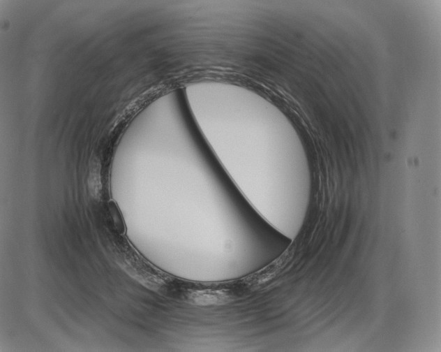 X0000085840508200703301648
