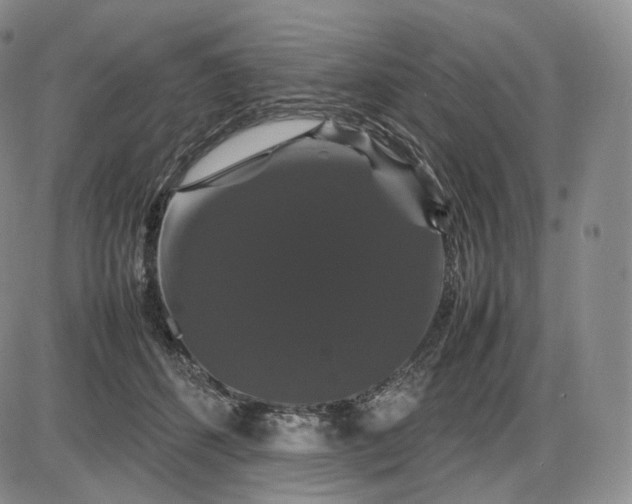 X0000085840512200703301648