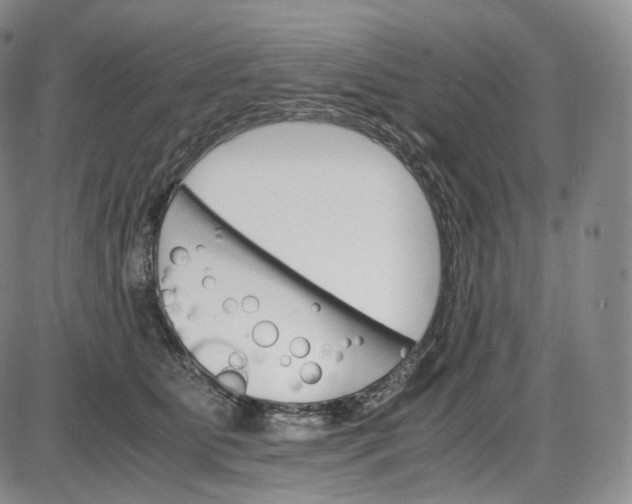 X0000085840515200703301648