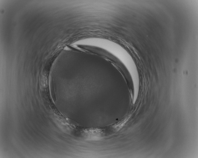 X0000085840517200703301648