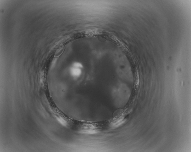X0000085840519200703301648