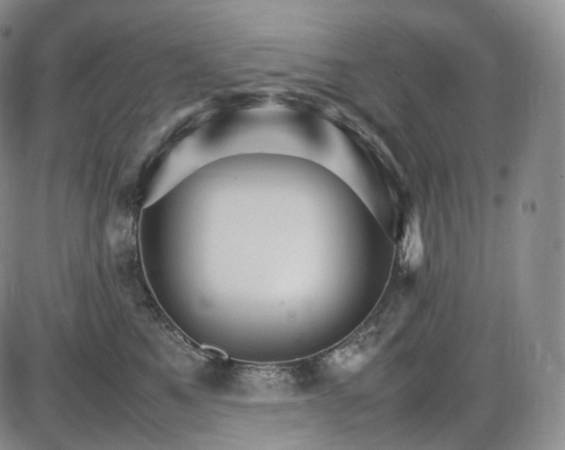 X0000085840521200703301648