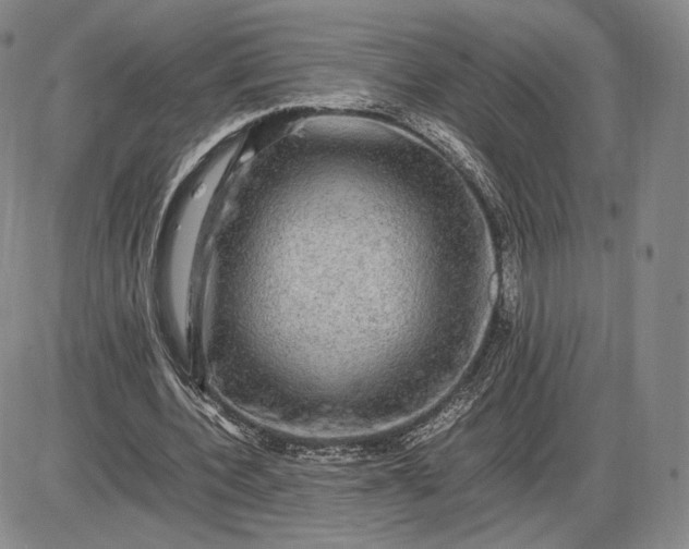 X0000085840532200703301647