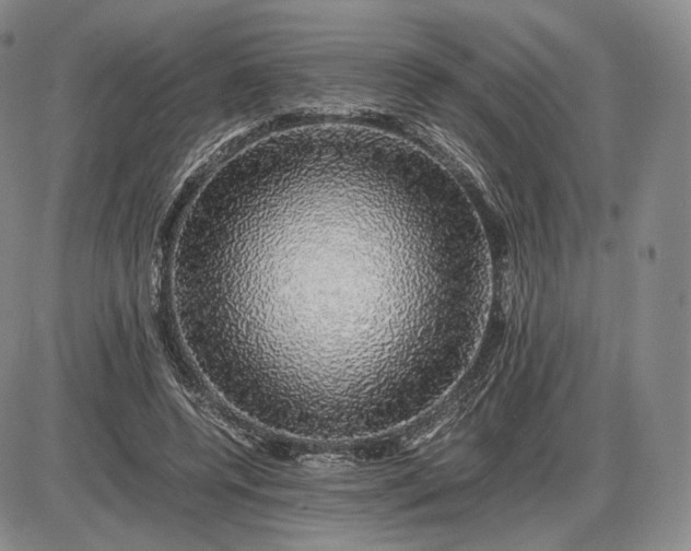 X0000085840544200703301647