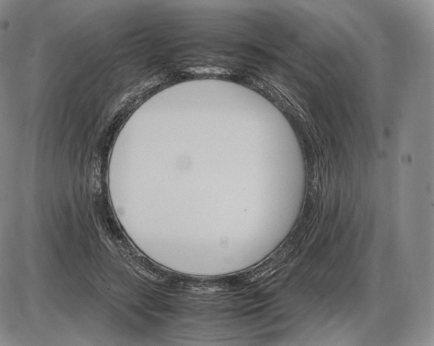X0000085840547200703301647