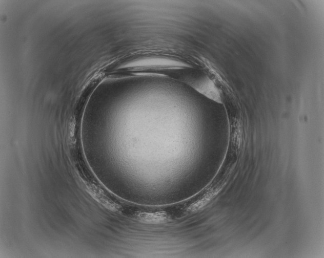 X0000085840548200703301647