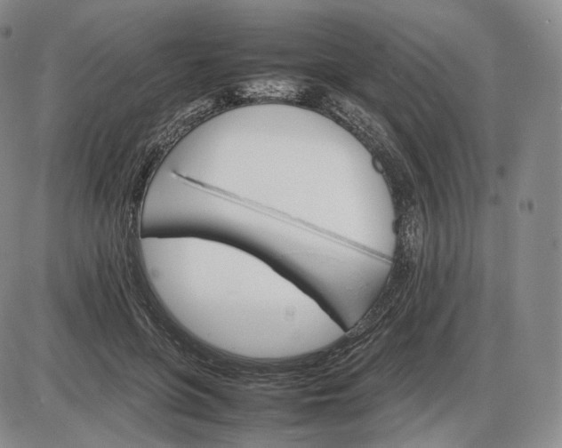 X0000085840551200703301647
