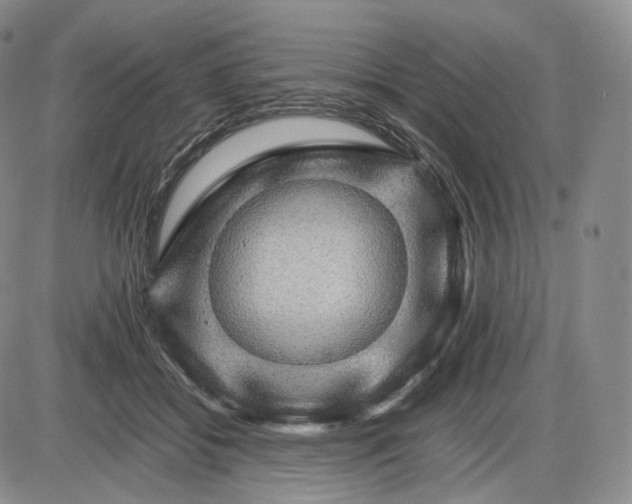 X0000085840556200703301647