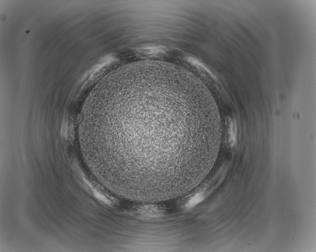 X0000085840562200703301648