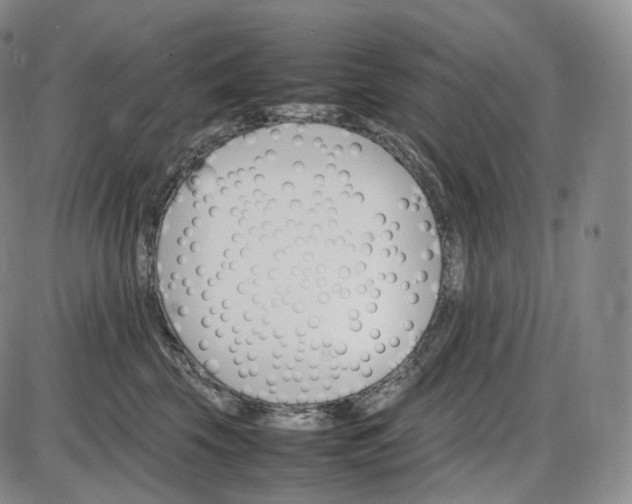 X0000085840569200703301648