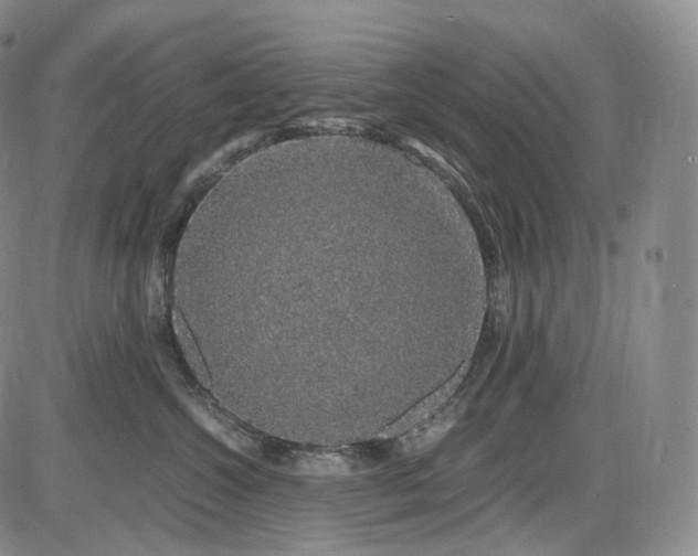 X0000085840572200703301648