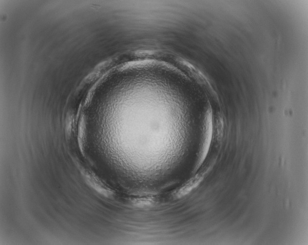 X0000085840574200703301648