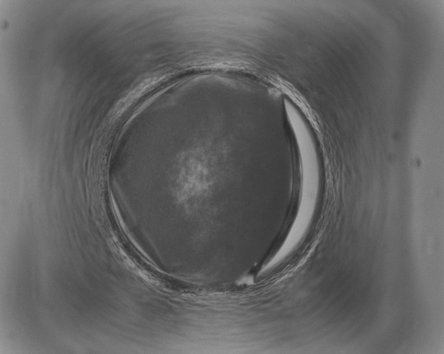 X0000085840577200703301647