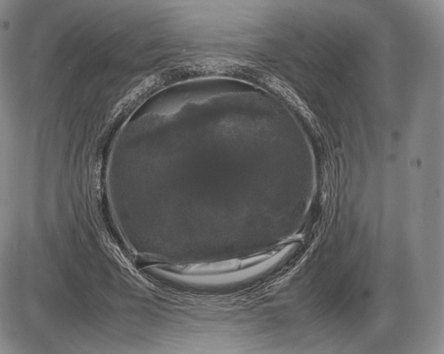 X0000085840585200703301647