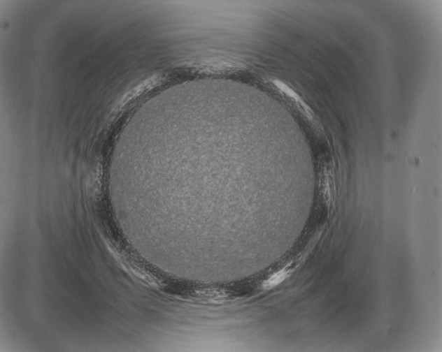 X0000085840591200703301647