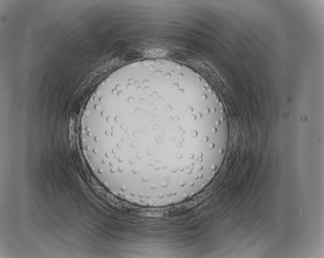 X0000085840598200703301647