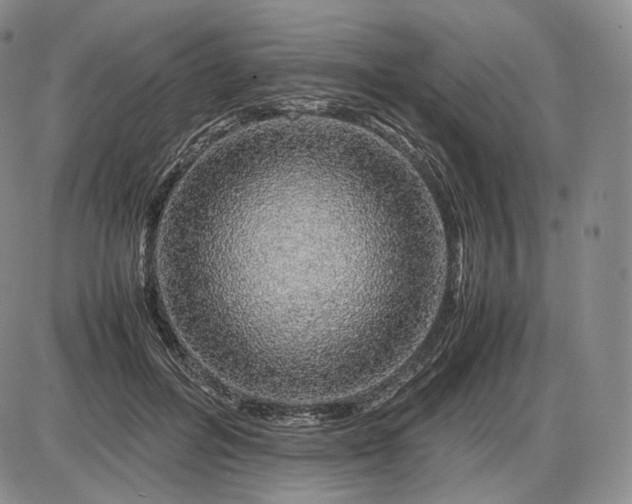 X0000085840600200703301647