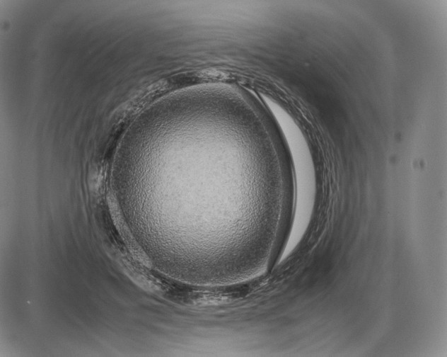 X0000085840601200703301647