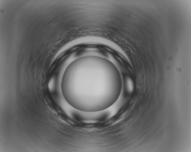 X0000085840608200703301646