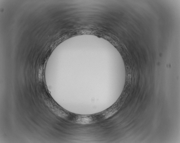 X0000085840610200703301646